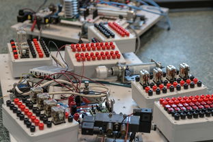 华体会体育hth-数字化转型:青训系统中的大数据应用,数字化转型_青训系统中的大数据应用有哪些