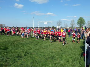 hth·华体会体育-青少年体育活动参与动机分析,青少年参加体育运动的动机