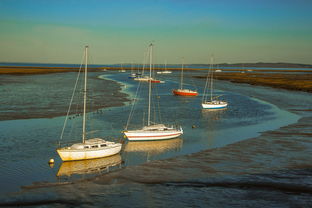 华体会app介绍-兴隆湖上演“国际艇战”,多国精英争锋