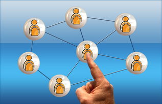 华体会官网注册-墨西哥团队表现引领腰旗项目发展，墨西哥旗手